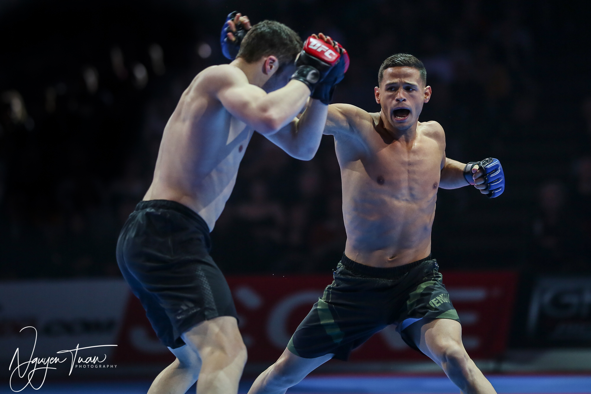 20190324 Festival des Arts Martiaux 5174